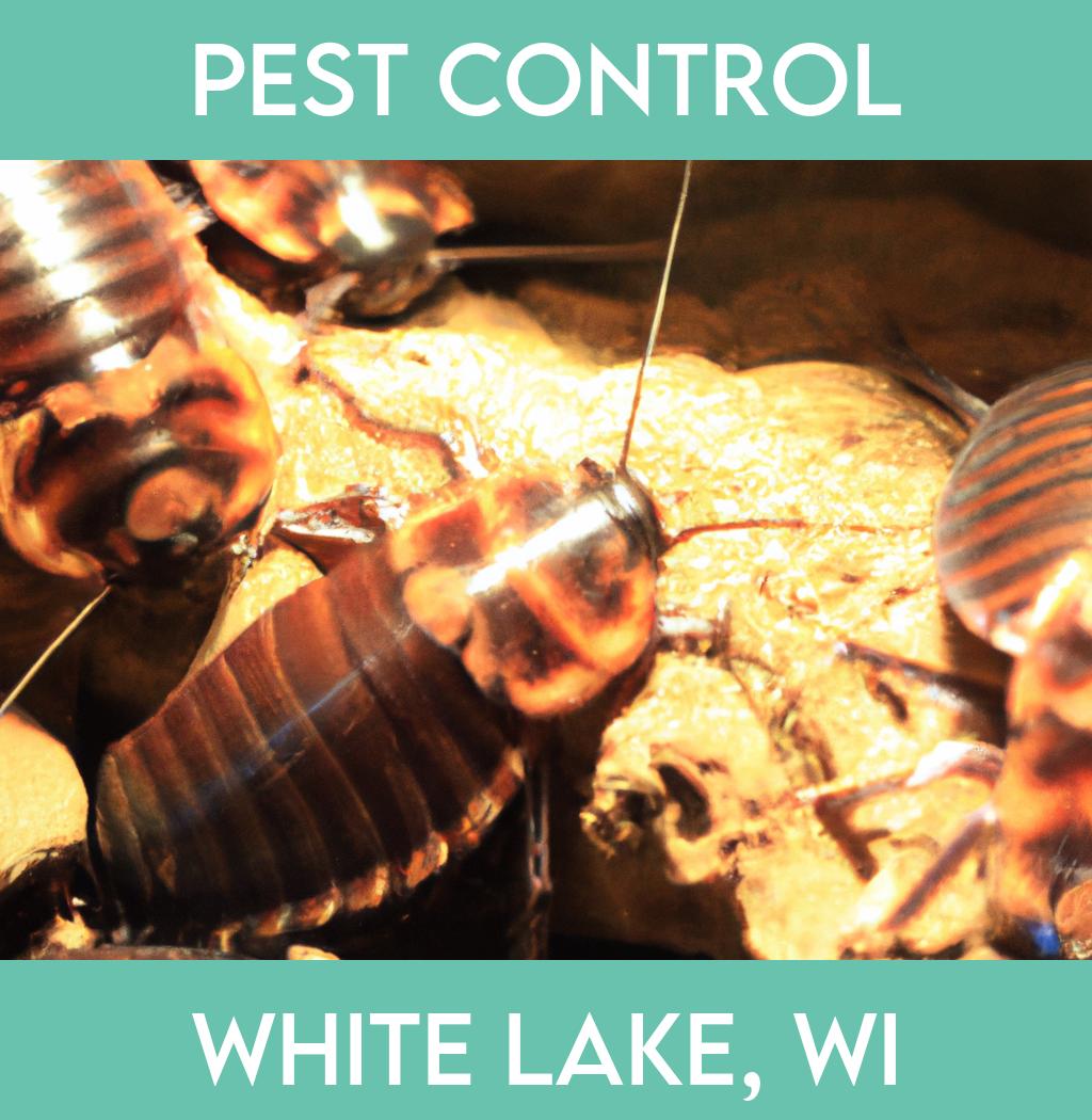 pest control in White Lake Wisconsin