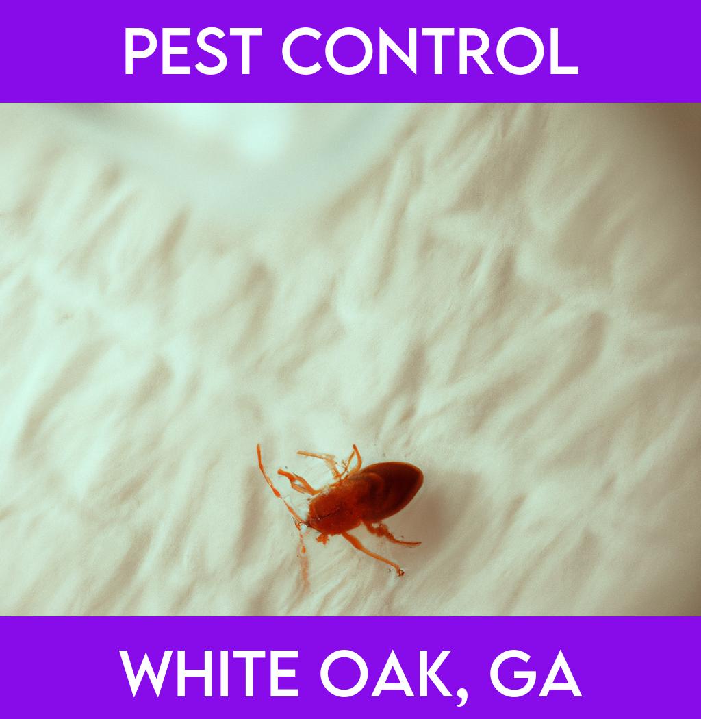 pest control in White Oak Georgia