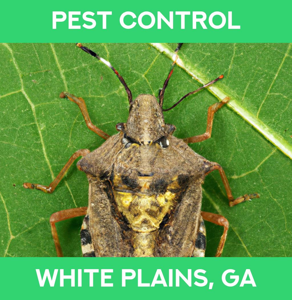 pest control in White Plains Georgia