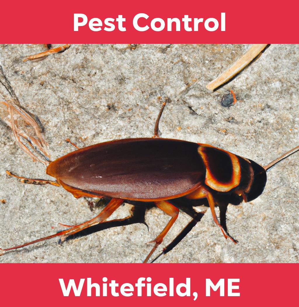 pest control in Whitefield Maine