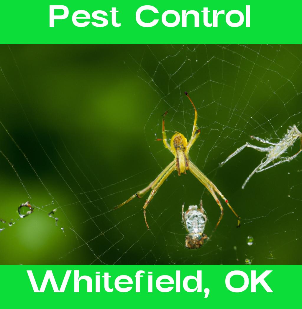 pest control in Whitefield Oklahoma