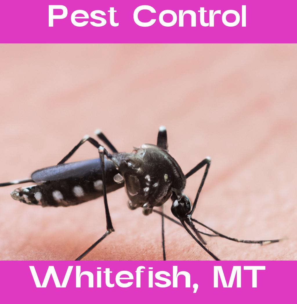 pest control in Whitefish Montana