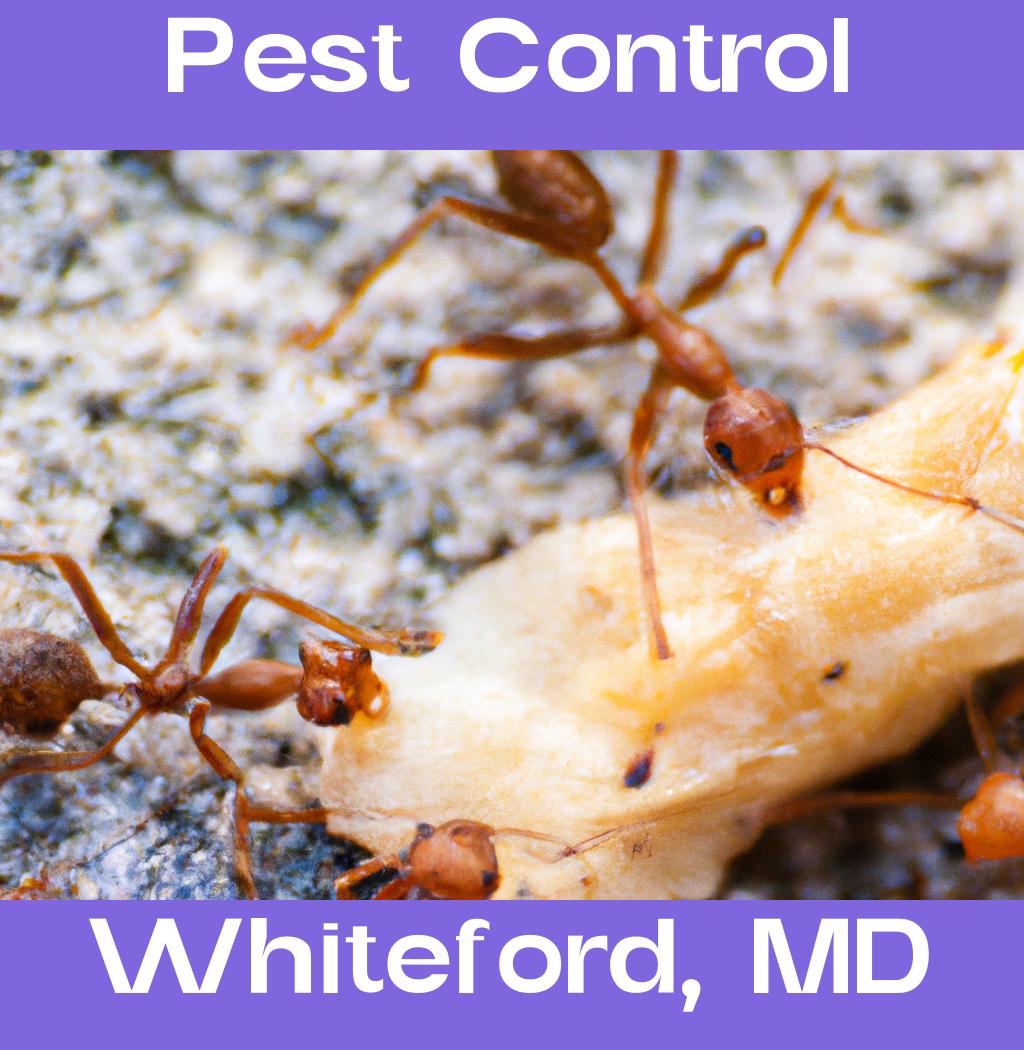 pest control in Whiteford Maryland