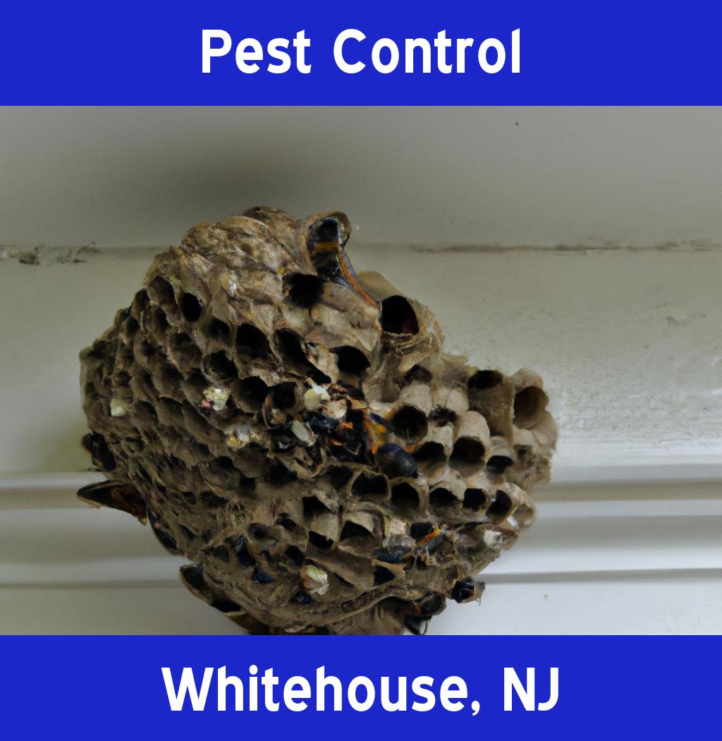 pest control in Whitehouse New Jersey