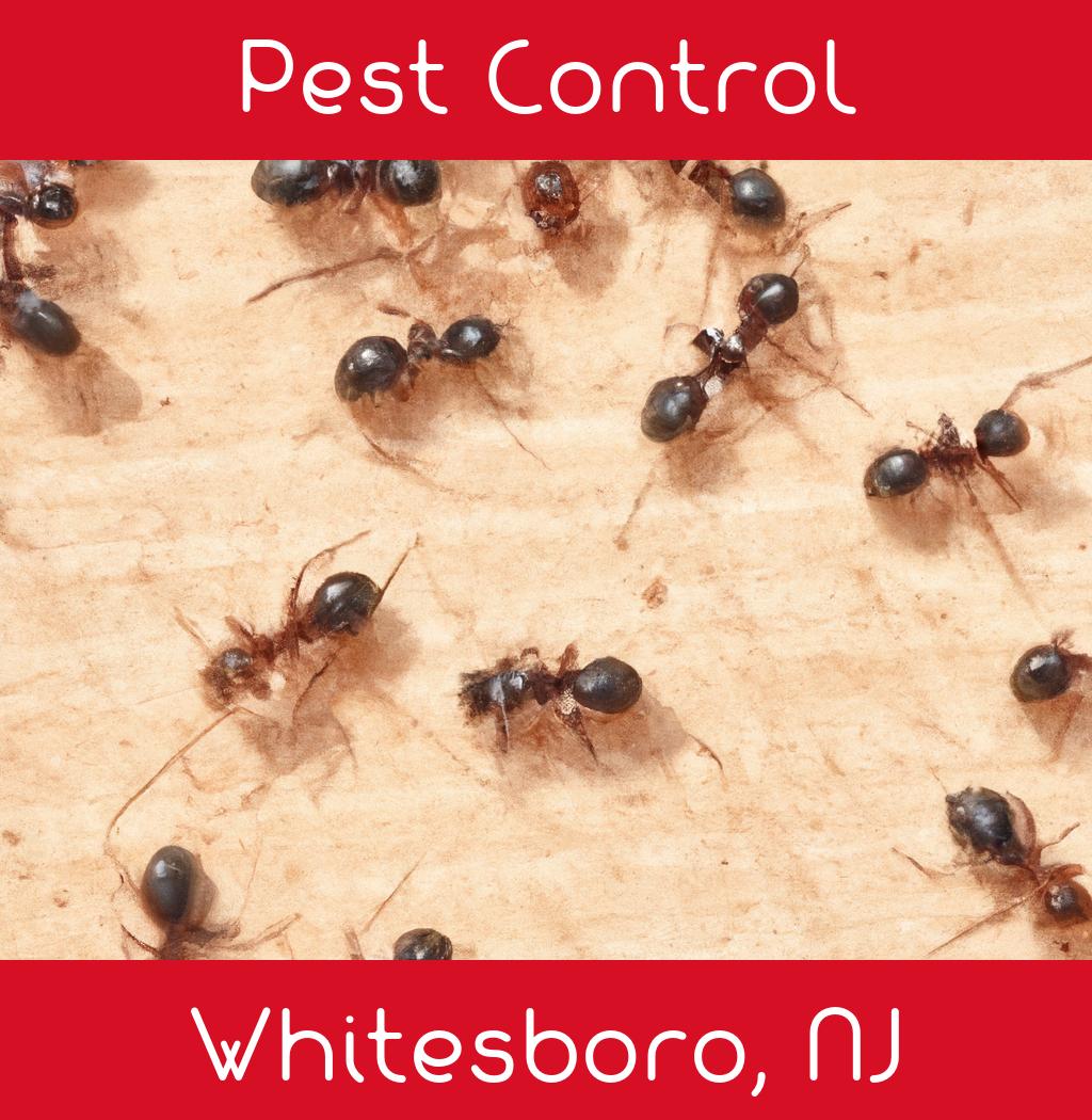 pest control in Whitesboro New Jersey