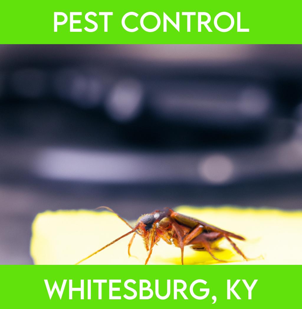 pest control in Whitesburg Kentucky