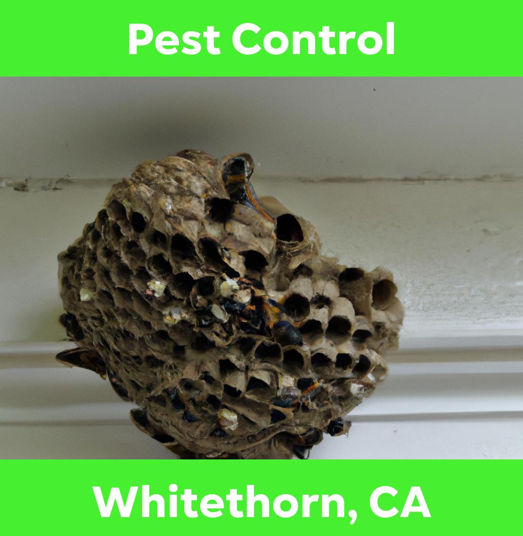 pest control in Whitethorn California