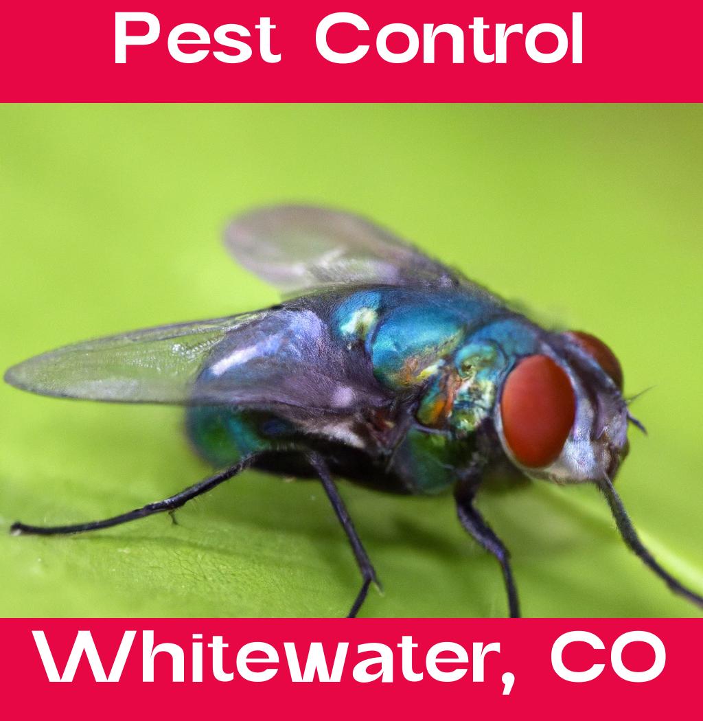 pest control in Whitewater Colorado