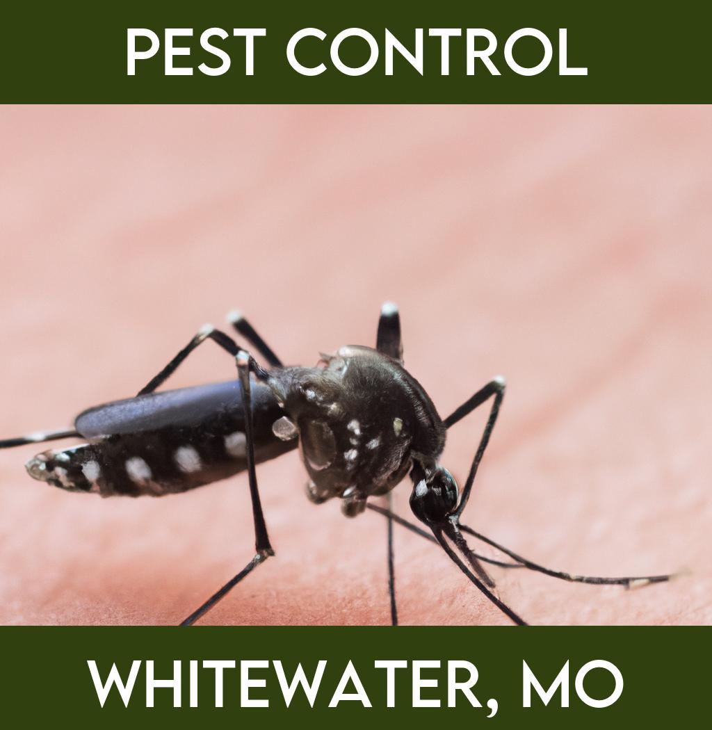 pest control in Whitewater Missouri
