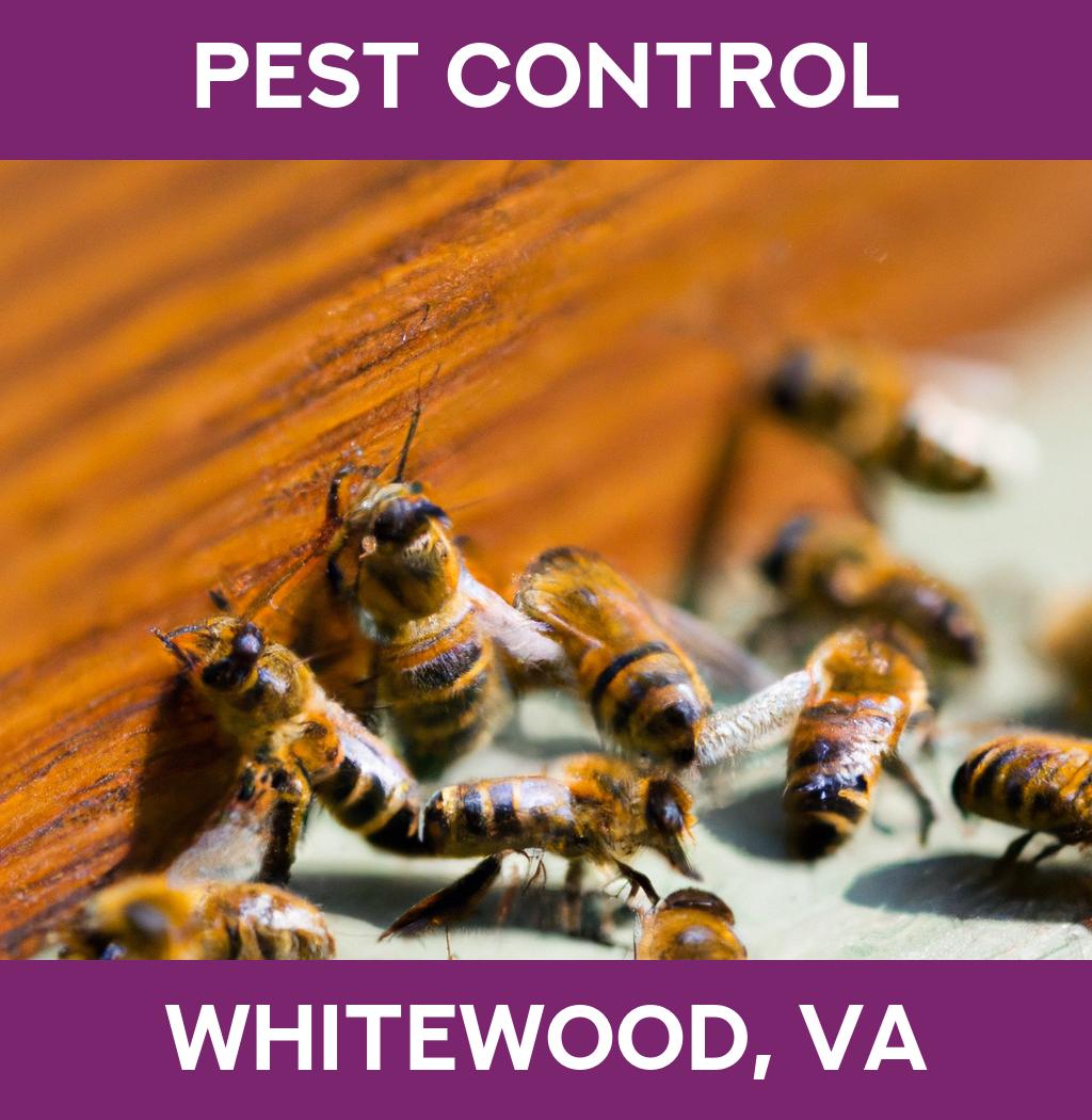 pest control in Whitewood Virginia
