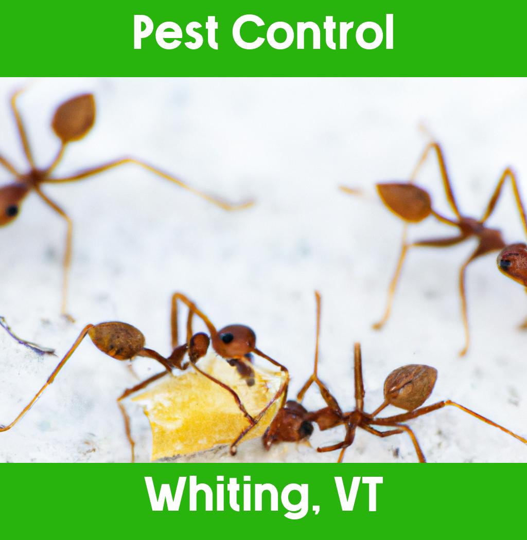 pest control in Whiting Vermont