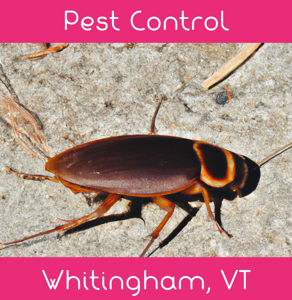 pest control in Whitingham Vermont