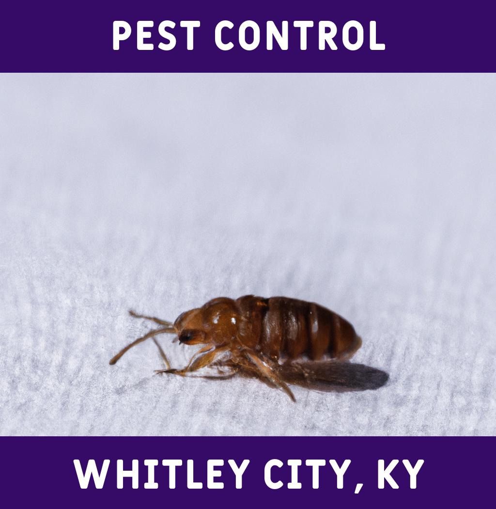 pest control in Whitley City Kentucky