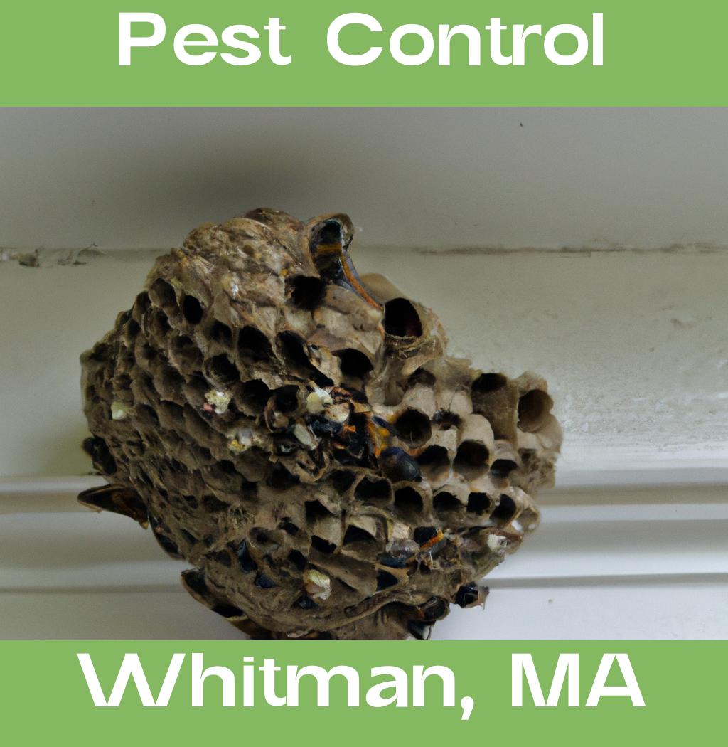 pest control in Whitman Massachusetts