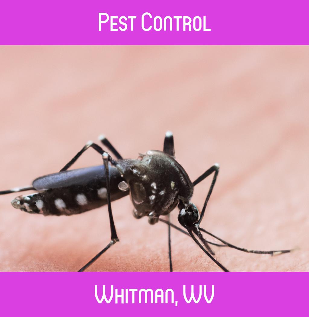 pest control in Whitman West Virginia