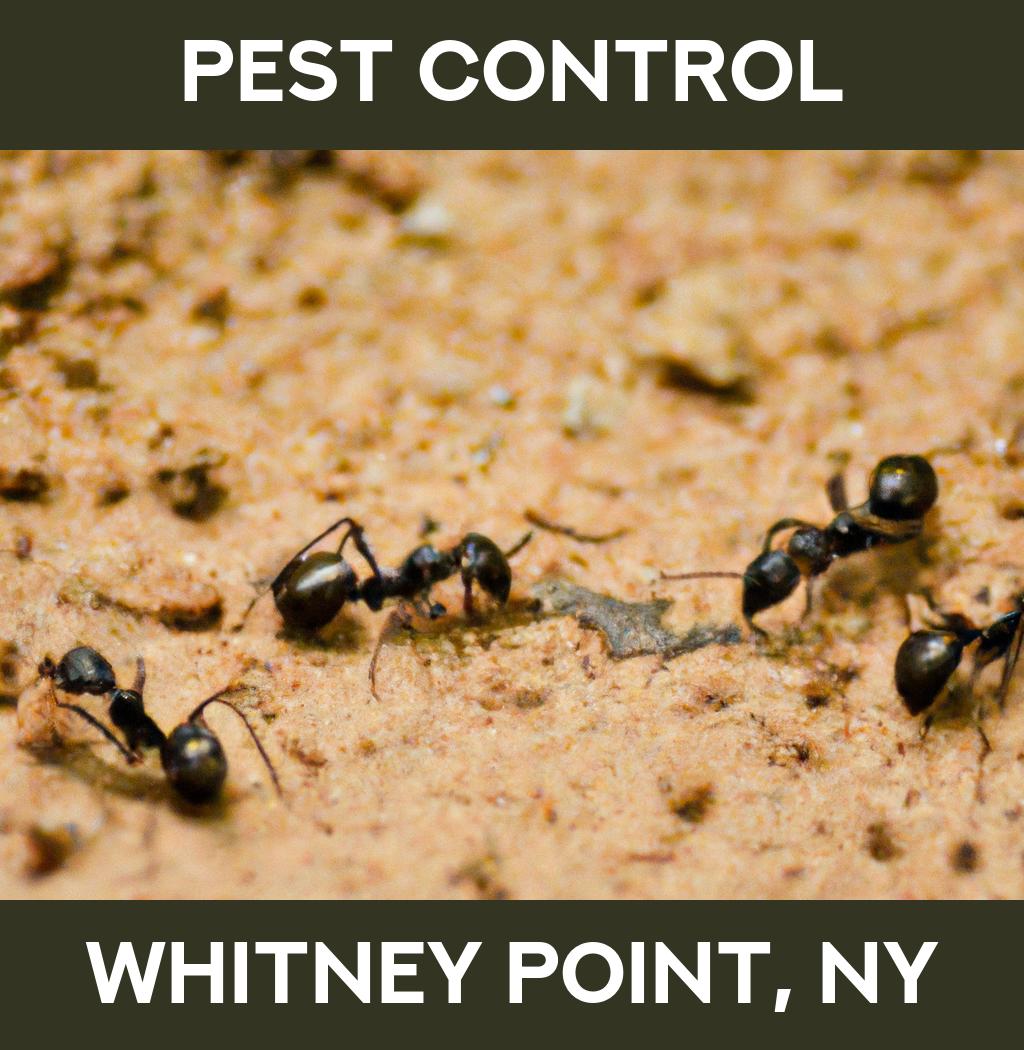 pest control in Whitney Point New York