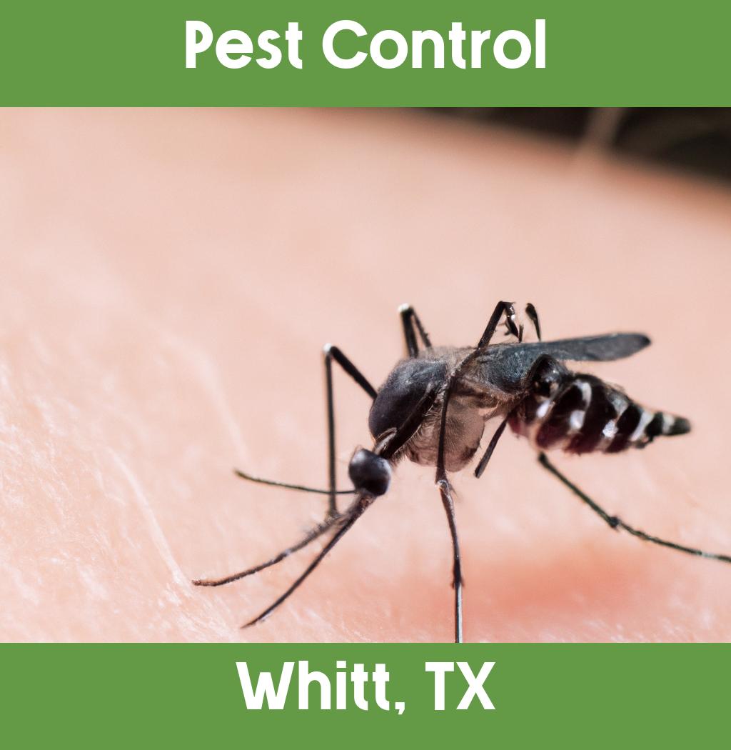 pest control in Whitt Texas