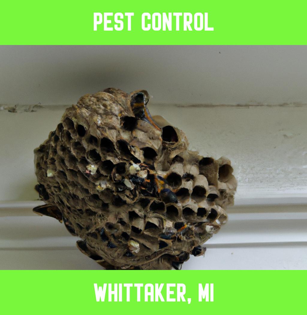 pest control in Whittaker Michigan