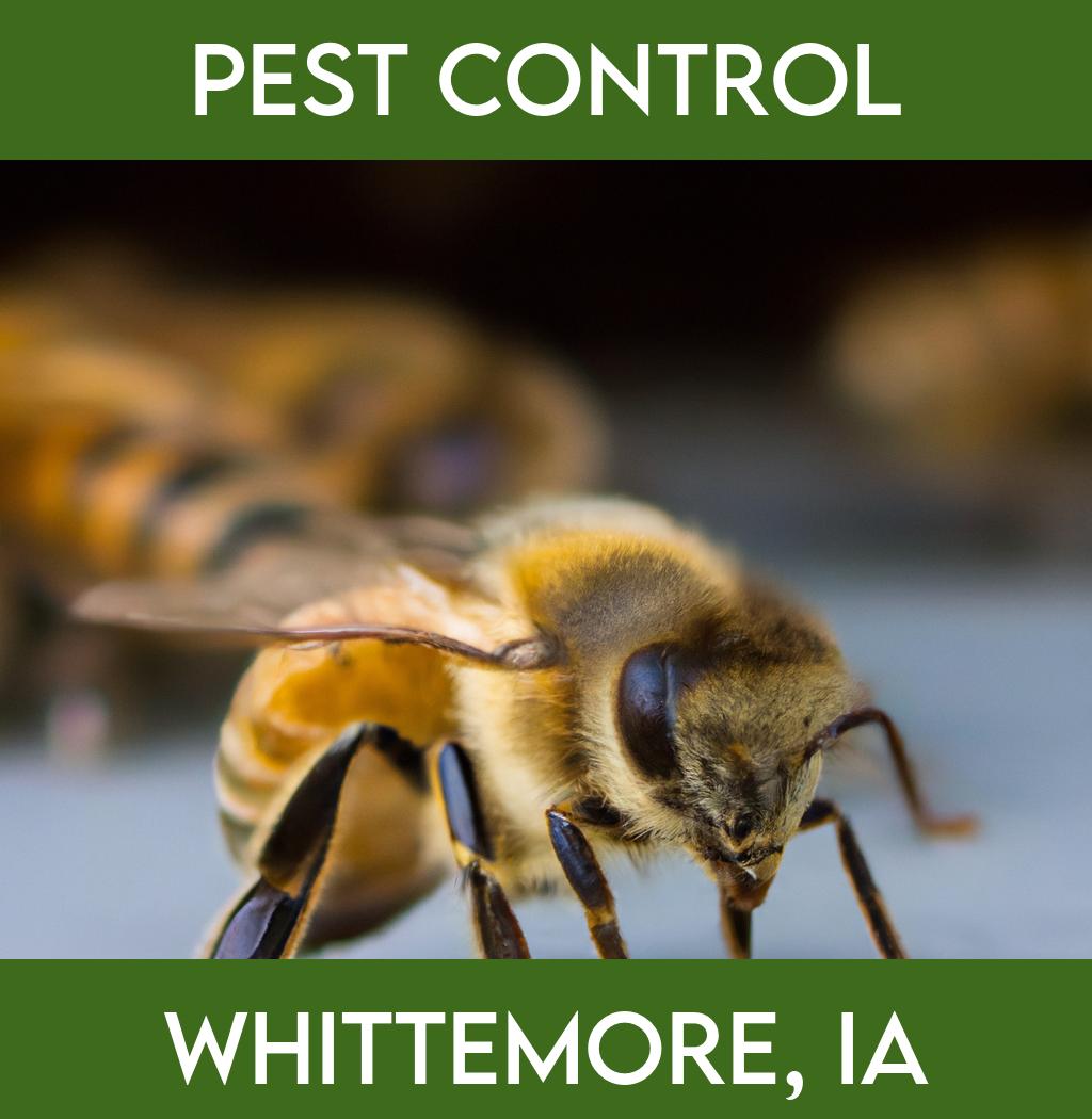 pest control in Whittemore Iowa