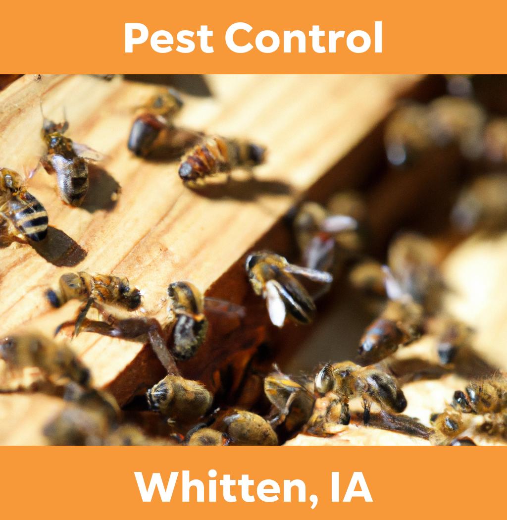 pest control in Whitten Iowa