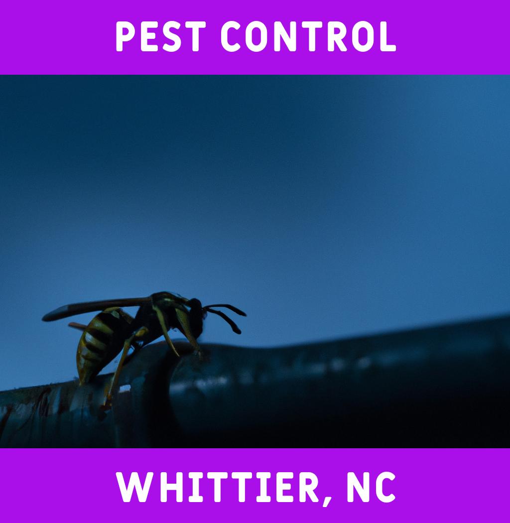 pest control in Whittier North Carolina