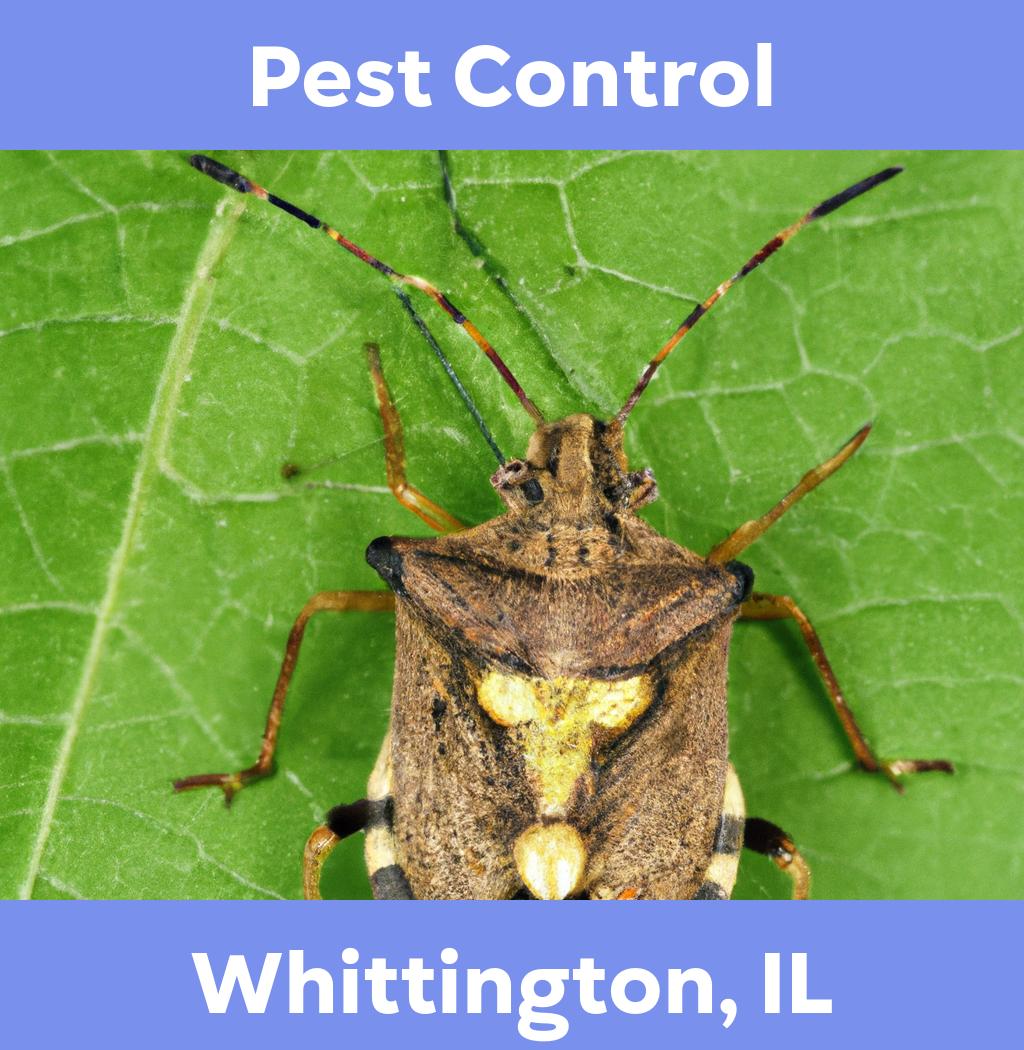 pest control in Whittington Illinois