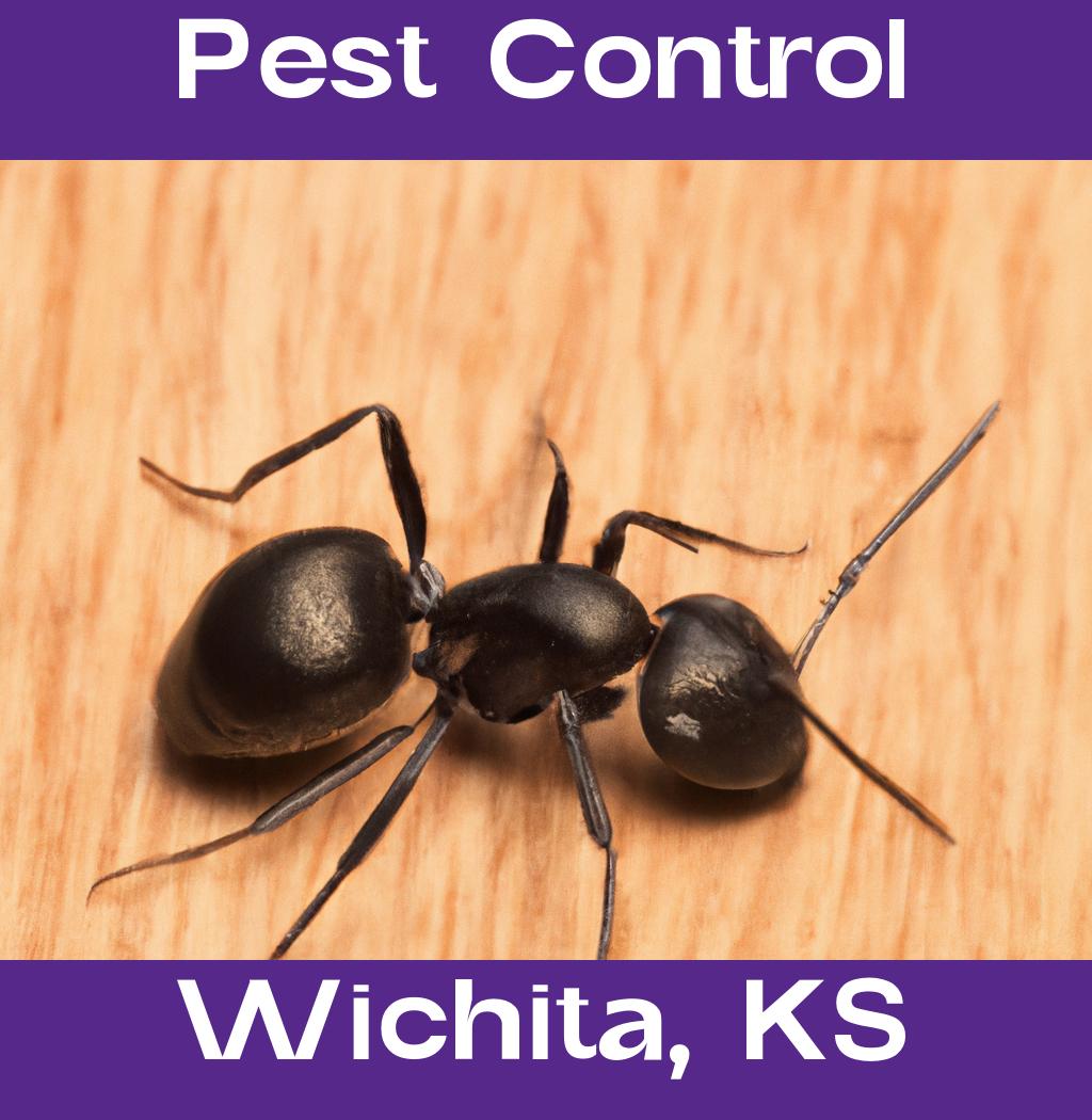pest control in Wichita Kansas