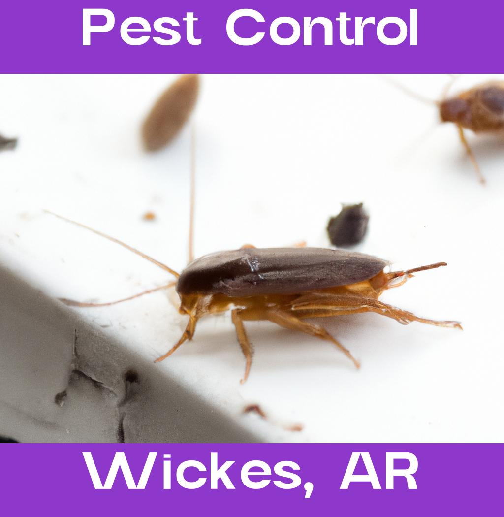 pest control in Wickes Arkansas