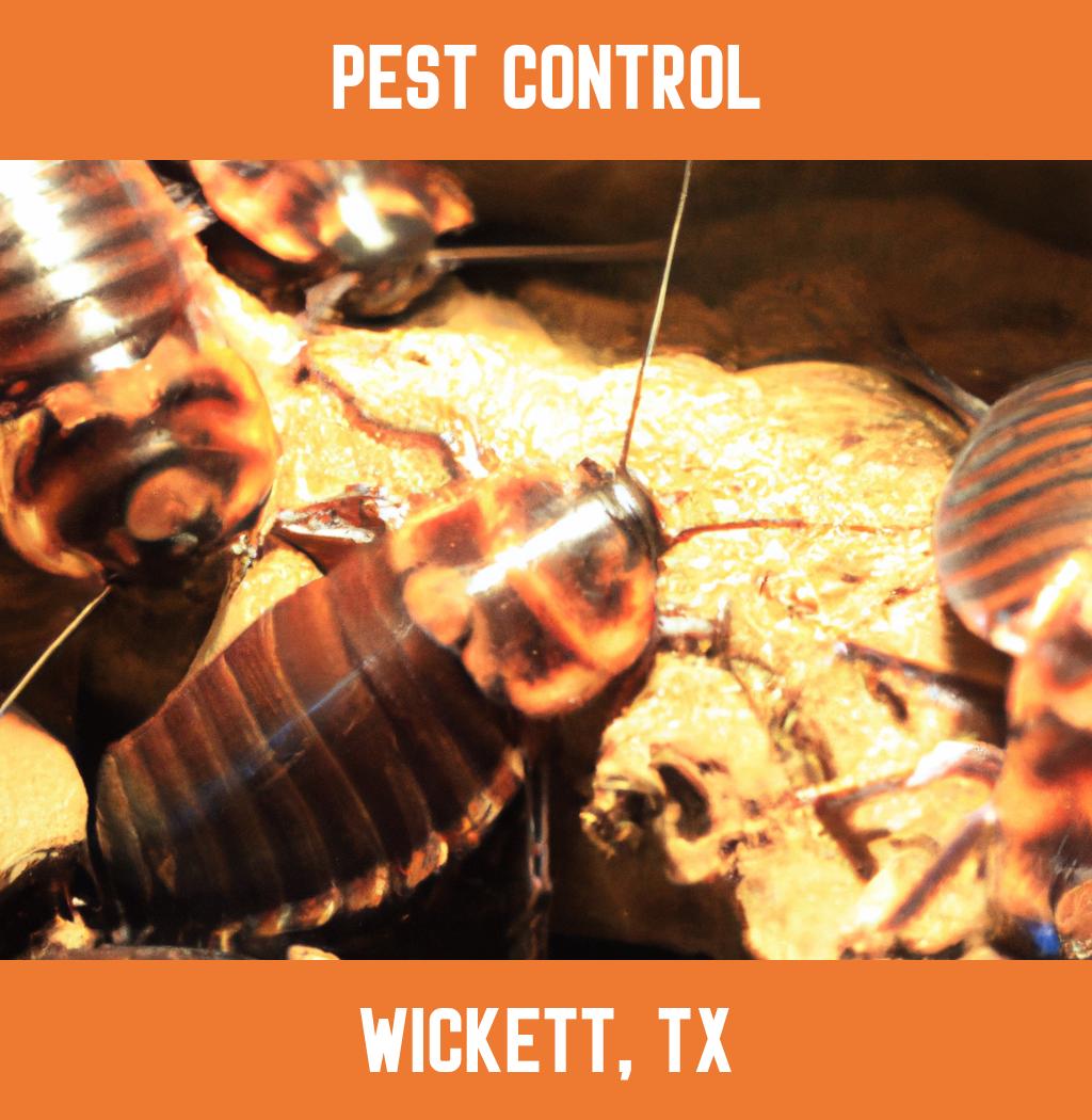 pest control in Wickett Texas