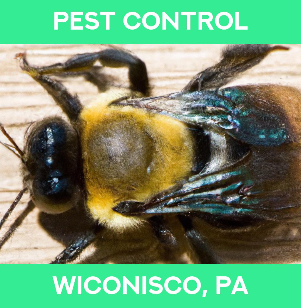 pest control in Wiconisco Pennsylvania