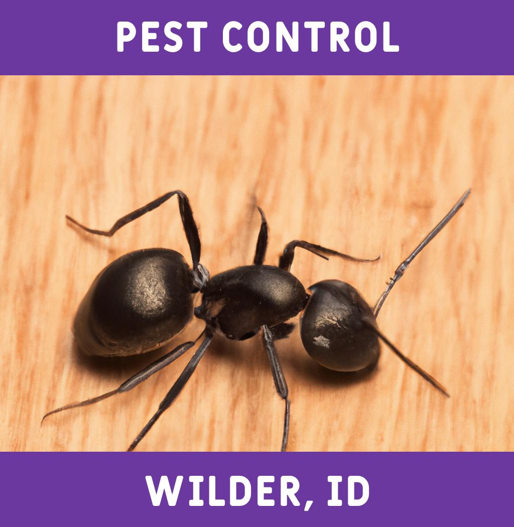 pest control in Wilder Idaho