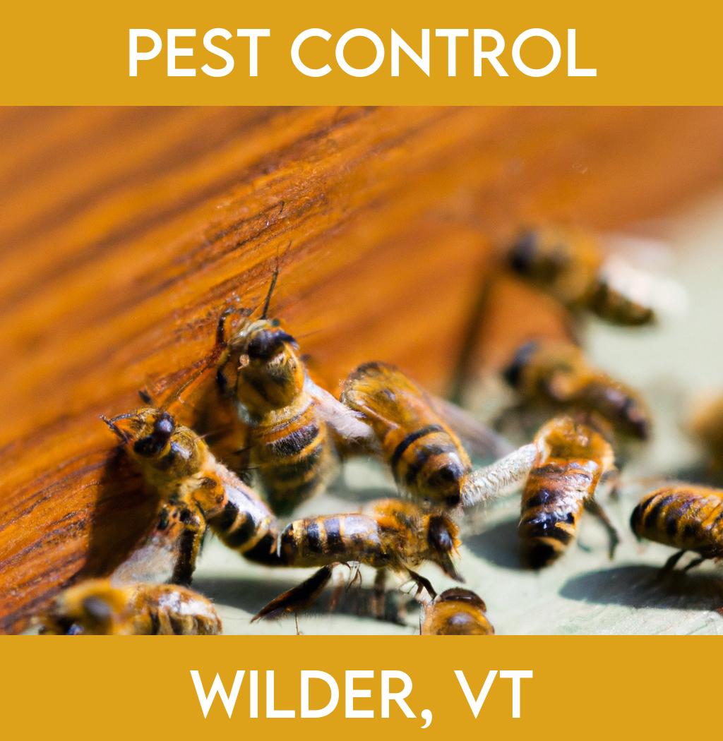 pest control in Wilder Vermont