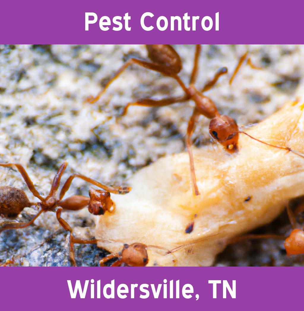 pest control in Wildersville Tennessee