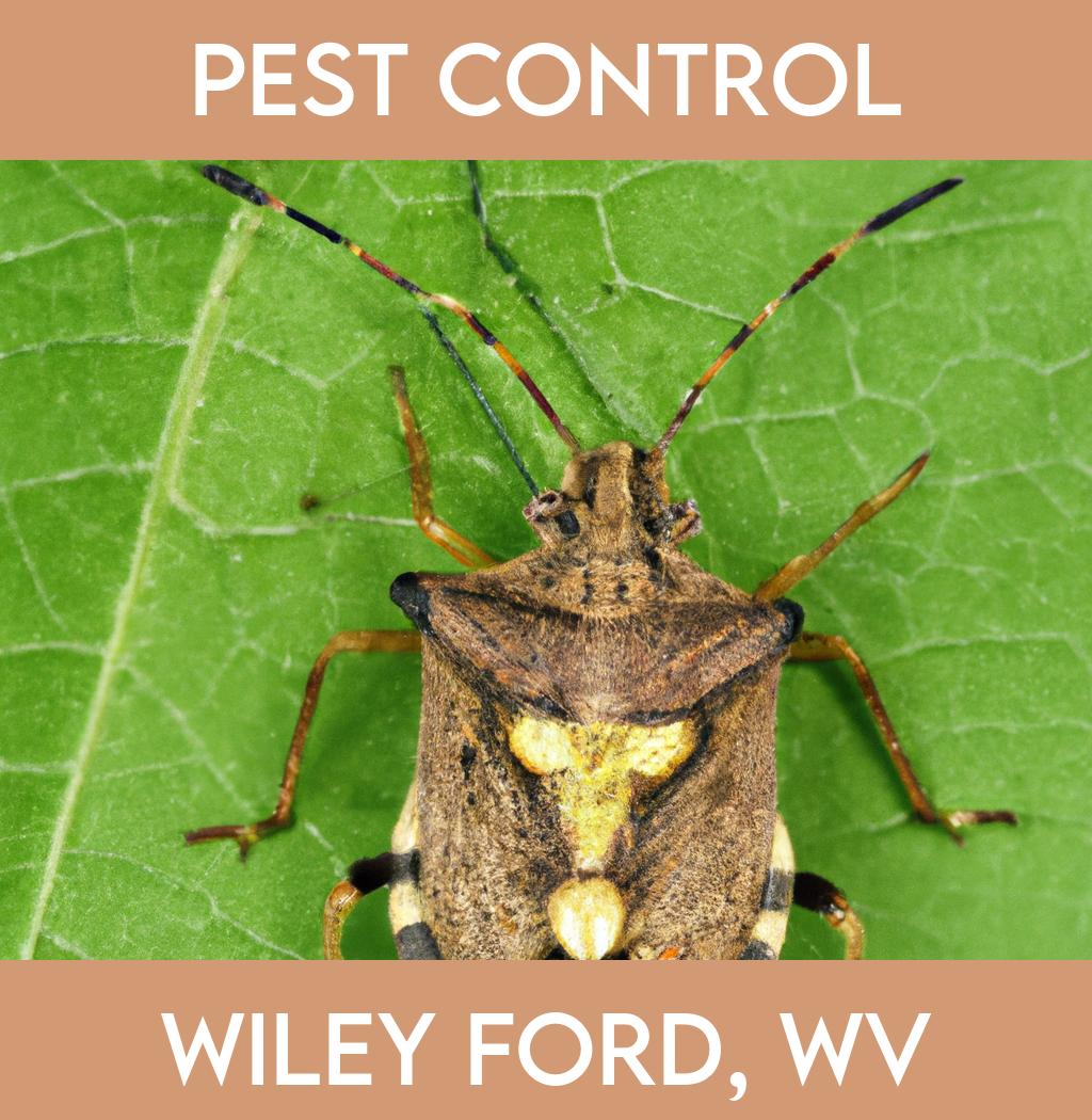 pest control in Wiley Ford West Virginia