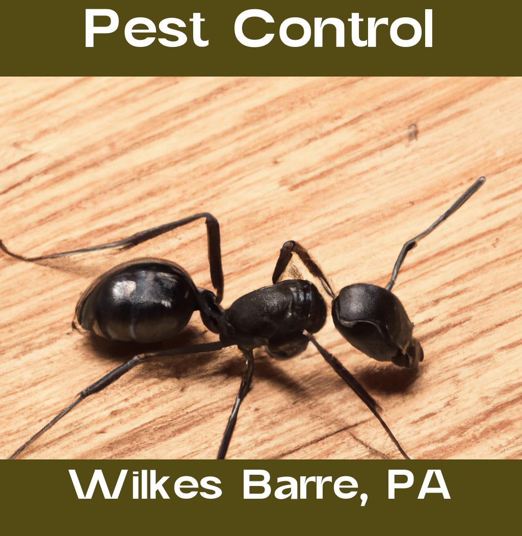 pest control in Wilkes Barre Pennsylvania