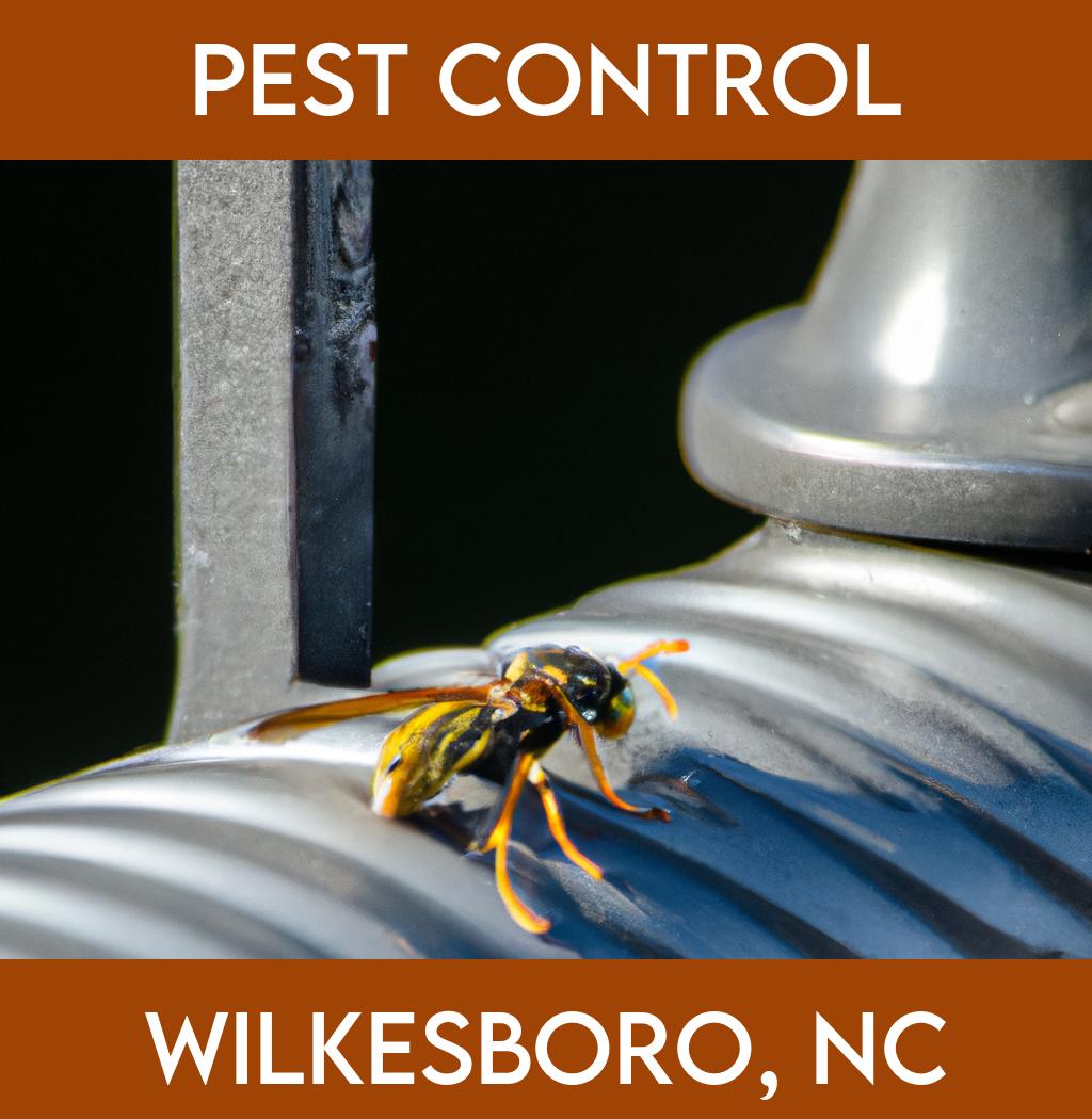 pest control in Wilkesboro North Carolina