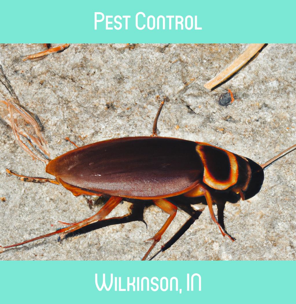 pest control in Wilkinson Indiana