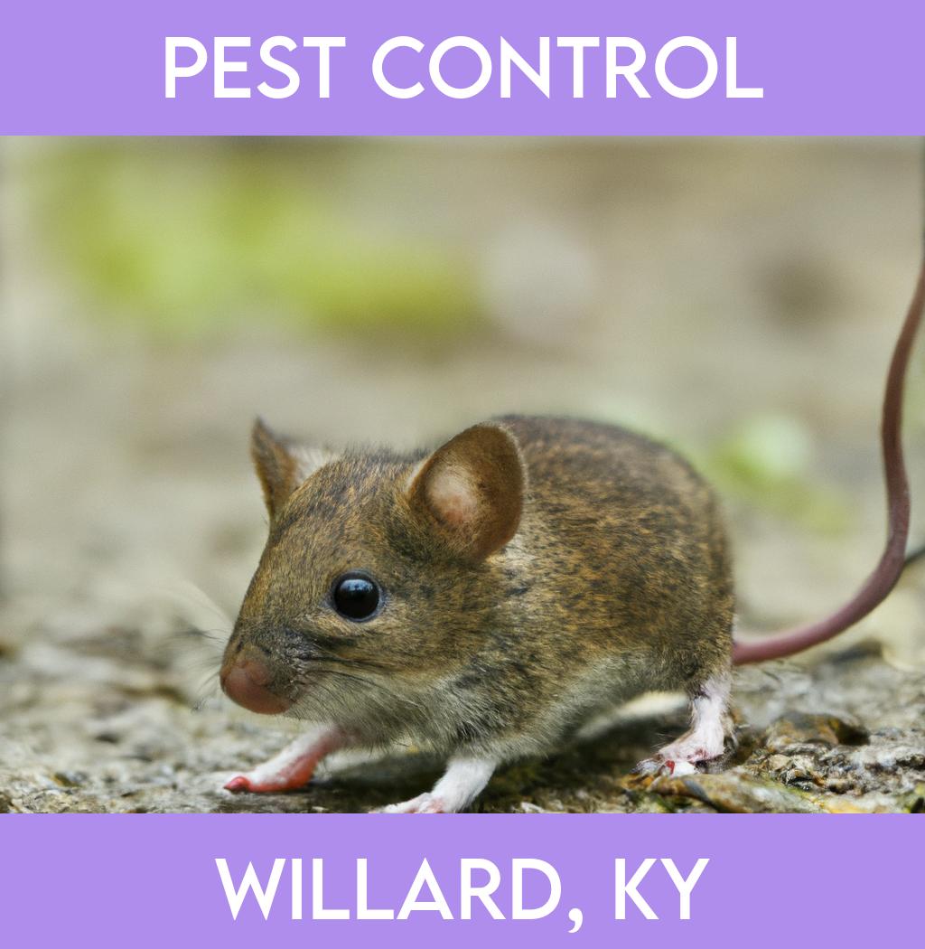 pest control in Willard Kentucky