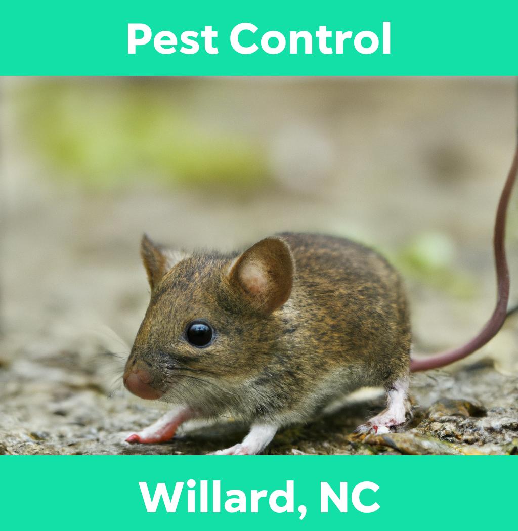 pest control in Willard North Carolina