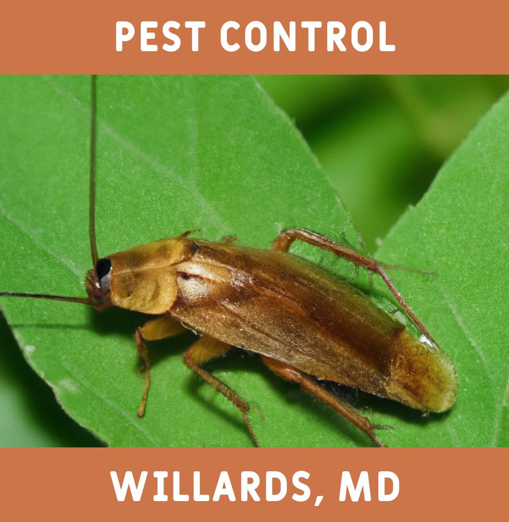 pest control in Willards Maryland