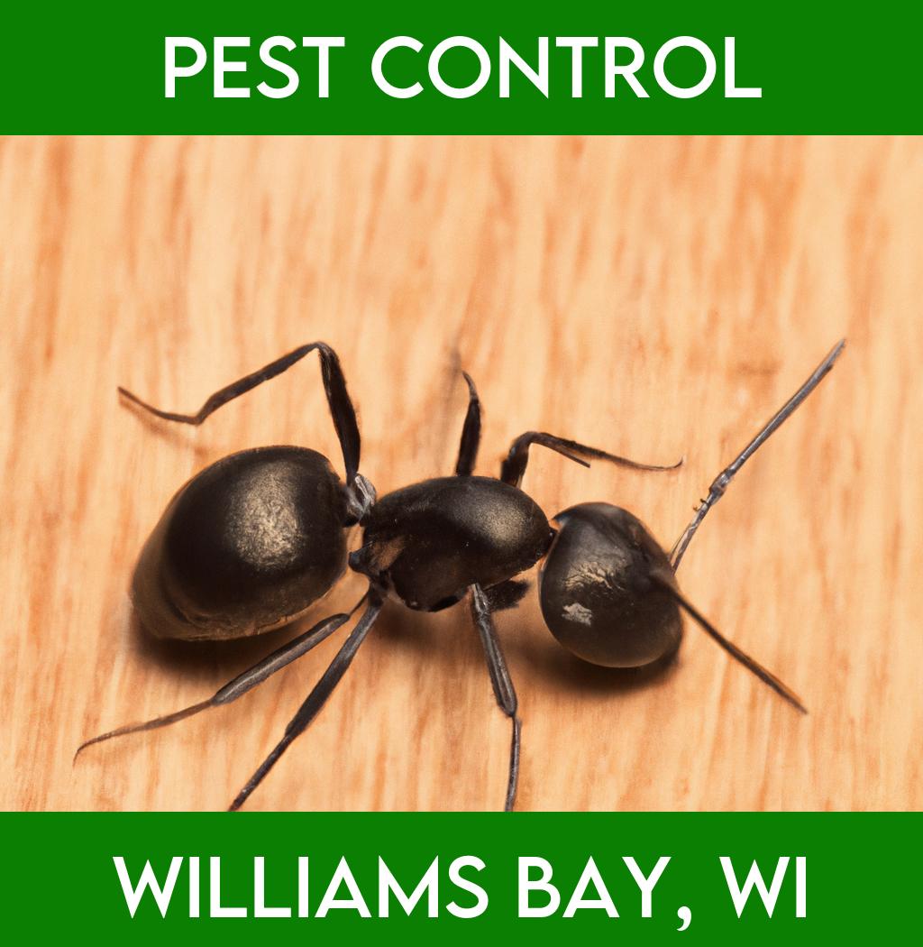 pest control in Williams Bay Wisconsin