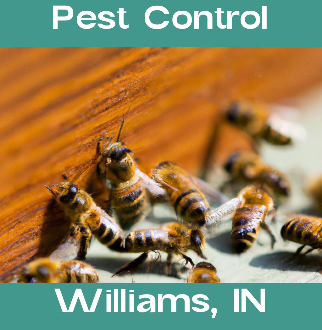 pest control in Williams Indiana