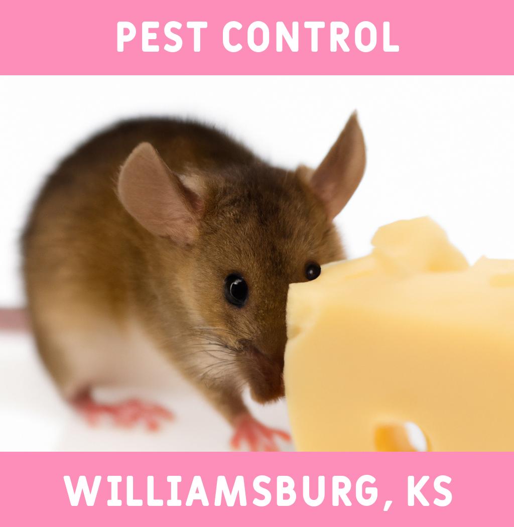 pest control in Williamsburg Kansas
