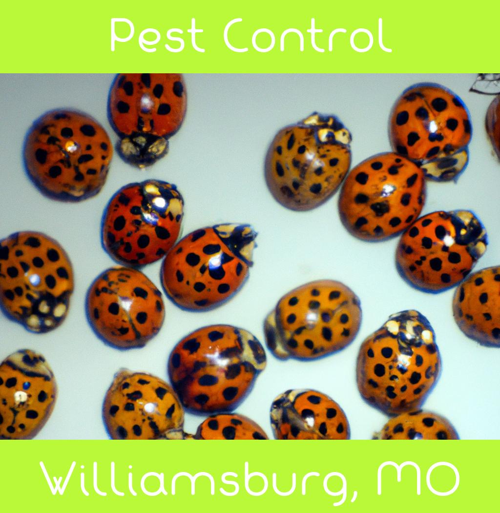 pest control in Williamsburg Missouri