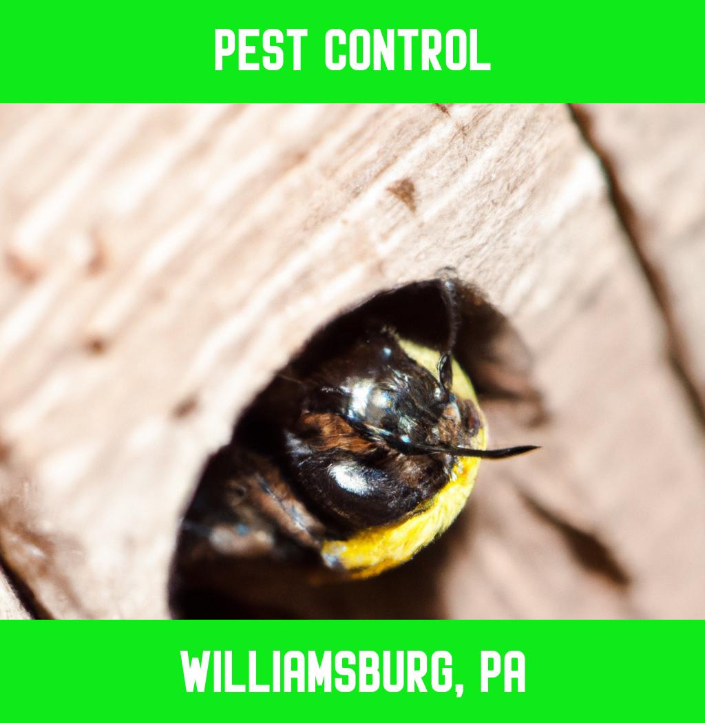 pest control in Williamsburg Pennsylvania