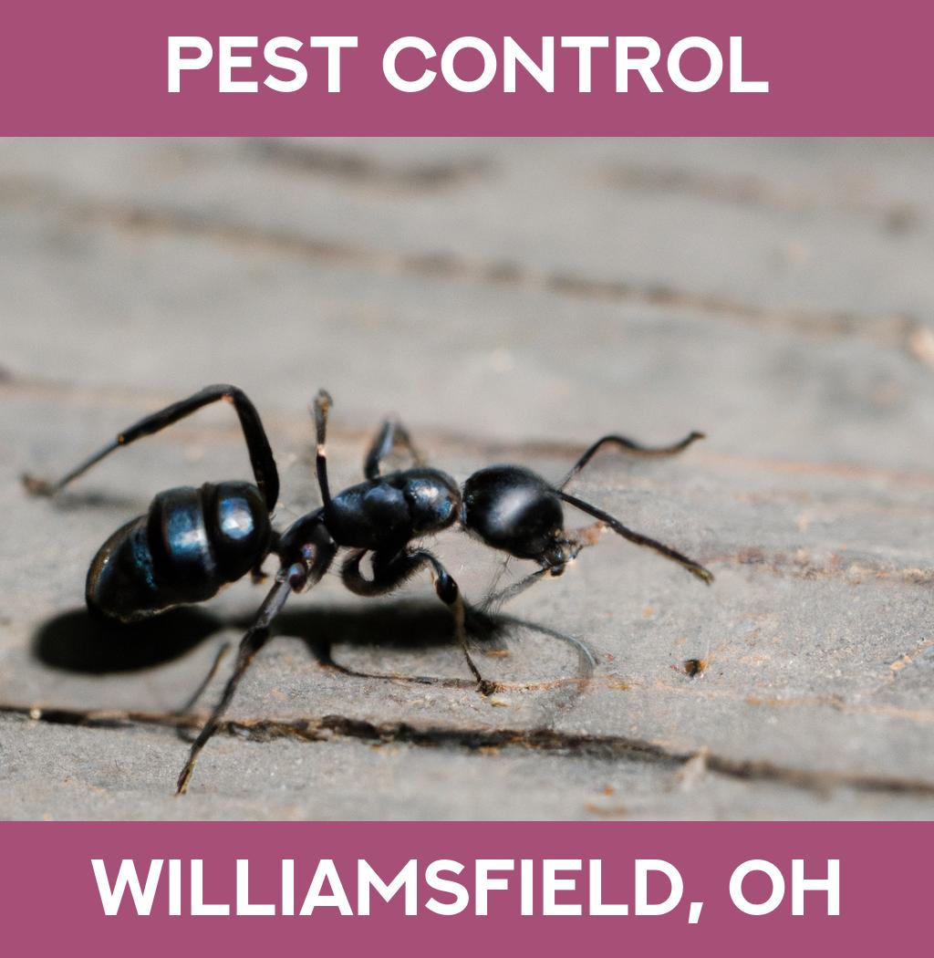 pest control in Williamsfield Ohio