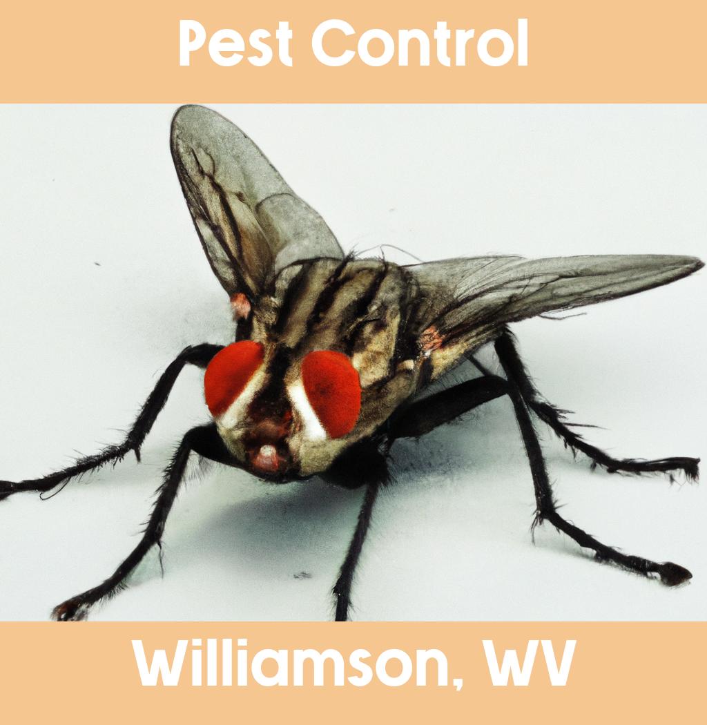 pest control in Williamson West Virginia
