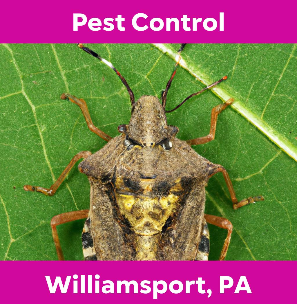 pest control in Williamsport Pennsylvania