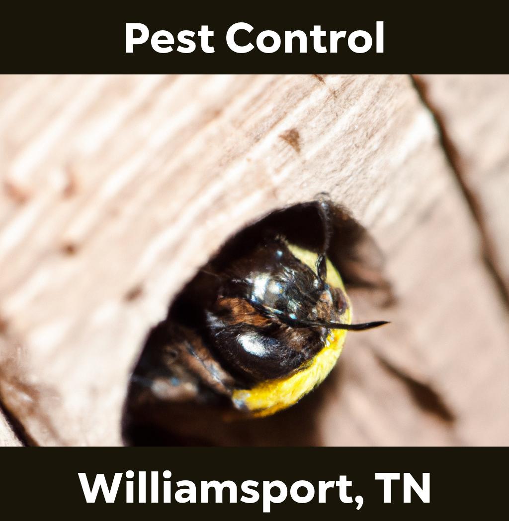 pest control in Williamsport Tennessee
