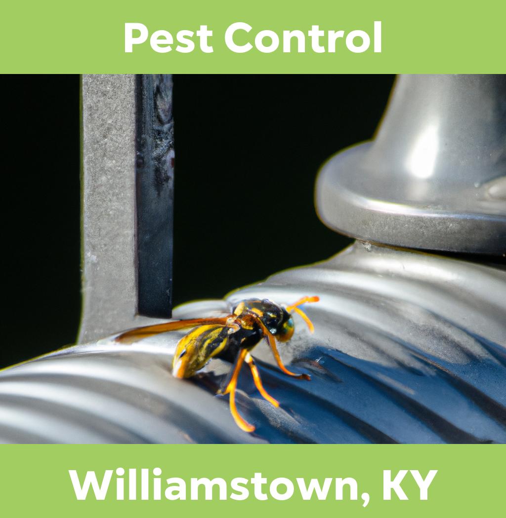 pest control in Williamstown Kentucky